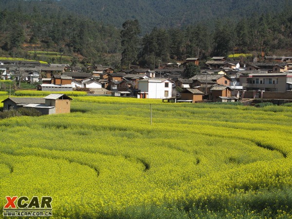 美丽的云南山村--峨山县富良棚乡