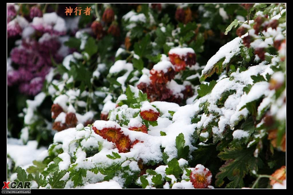 初雪班得瑞吉他简谱分享_初雪班得瑞吉他简谱