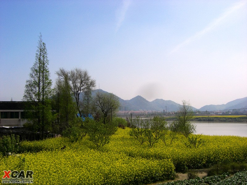 浙江 绍兴 绍兴白马湖 自助游论坛 春到白马湖(绍兴上虞白马湖游记"