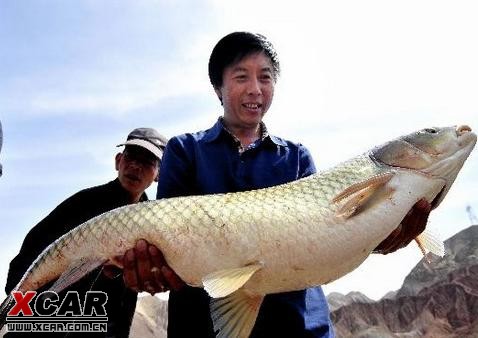 兰州垂钓爱好者钓到30斤重大草鱼