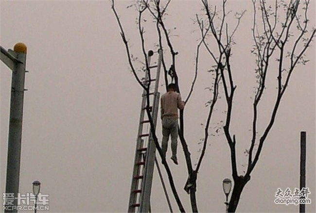 [转贴]天哪!有人吊死在上海外滩