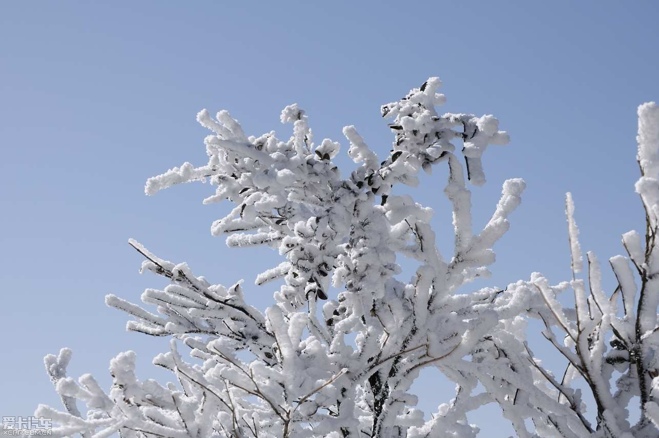 发几张雪景图片,欢迎拍砖!