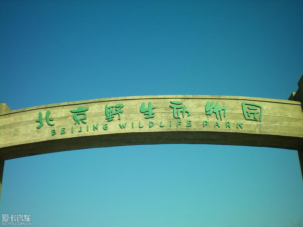 大兴野生动物园精华