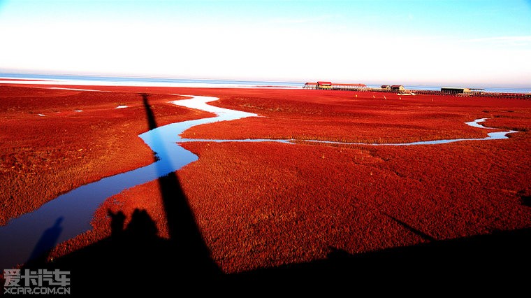 湿地之都--辽宁盘锦红海滩 - 图说世界 - 娱乐贴