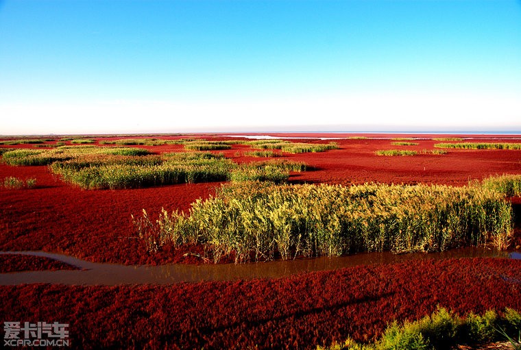湿地之都--辽宁盘锦红海滩 - 图说世界 - 娱乐贴