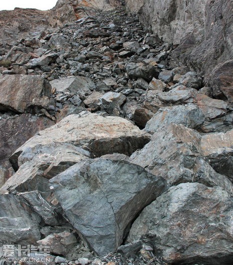 在虎跳峡谷的一处崩塌的岩石上,我有幸的寻找到了蛇绿岩