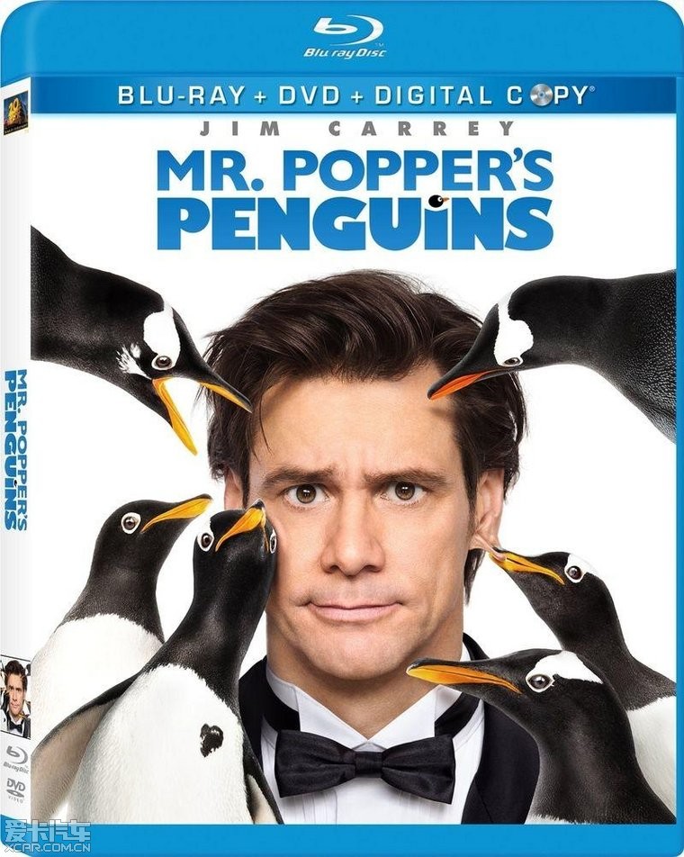 只企鹅带来的人生感悟--看《波普先生的企鹅》
