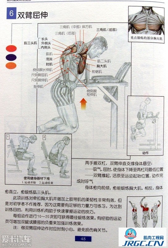 【精华】肌肉锻炼图解!
