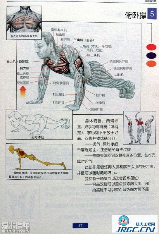 【精华】肌肉锻炼图解!