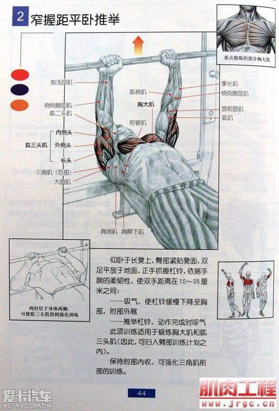 【精华】肌肉锻炼图解!