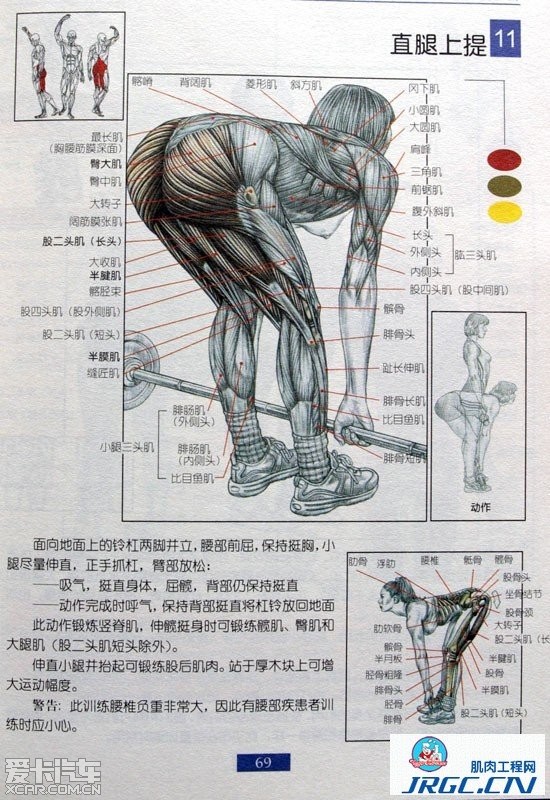 肌肉锻炼图解! 男人必看!_科鲁兹论坛_XCAR 