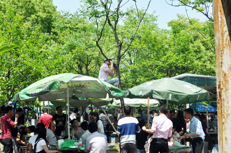 夏日 带病顾村公园烧烤聚餐