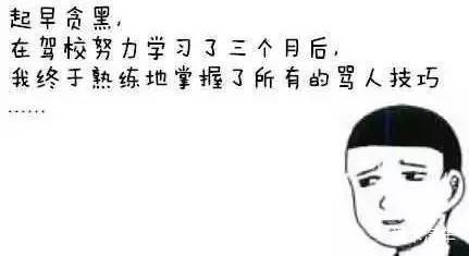 也有人说:我没怎么学会开车,骂人技巧倒是噌噌地长.