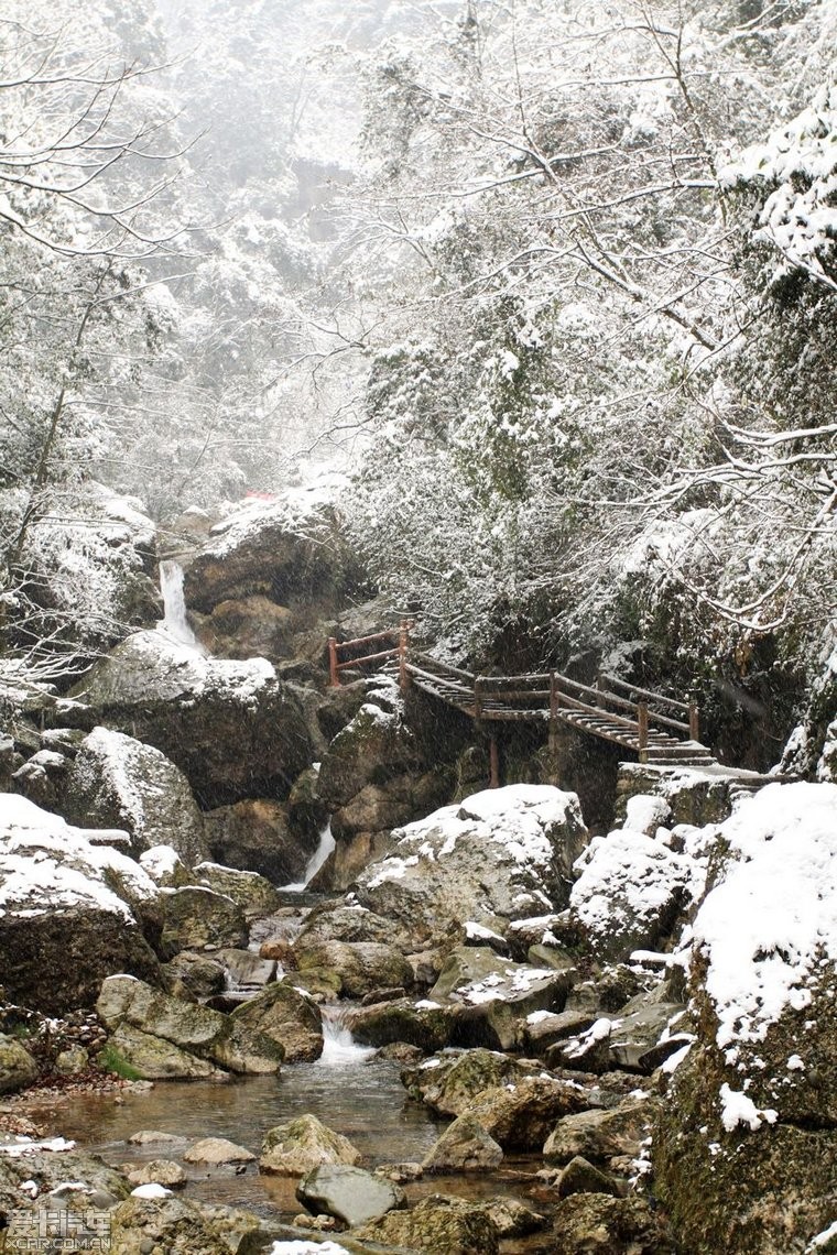 2012的第一场雪在青城后山,有越下越大的趋势