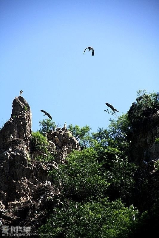 宽城的千鹤山