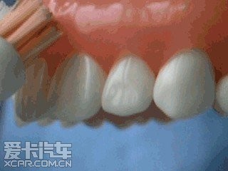 爱卡牙医教您如何正确刷牙! - 大庆论坛 - 黑龙江