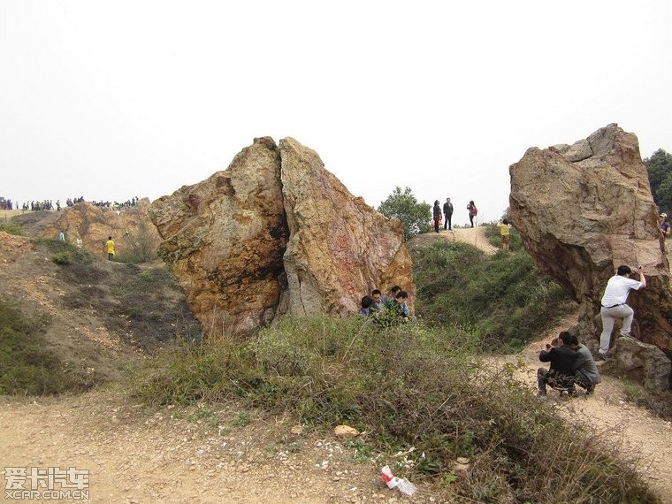 在那桃花盛开的地方---无锡阳山桃花节