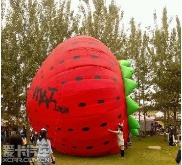 2012北京草莓音乐节 - 中华V5论坛 - 中华论坛