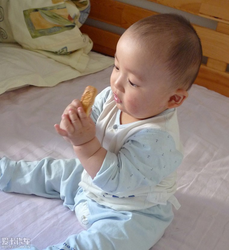 宝宝第一次吃磨牙饼干,馋样儿! - 亲子乐园 - 亲