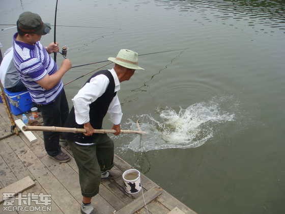 【精华】从上海到苏州东山钓鱼,采购枇杷的作