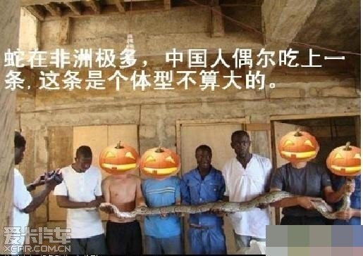中国人在非洲什么都敢吃!_上海汽车论坛_XCA