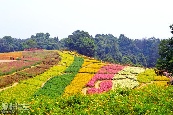 四川 成都 石象湖生态风景区 自助游论坛 成都驱车86公里,在石象湖