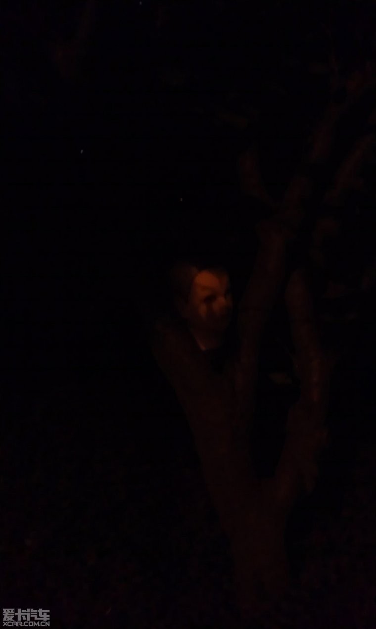 那天晚上回去看见树上惊悚的一幕(这个帖子那