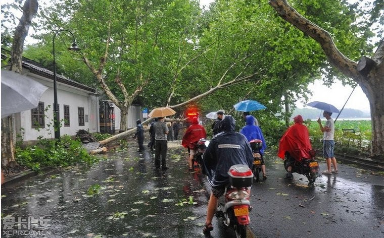 88年8月8号台风几乎摧毁杭州,今年又是8月8号
