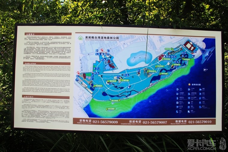 周末无事!到上海炮台湾湿地公园小游!天气很不