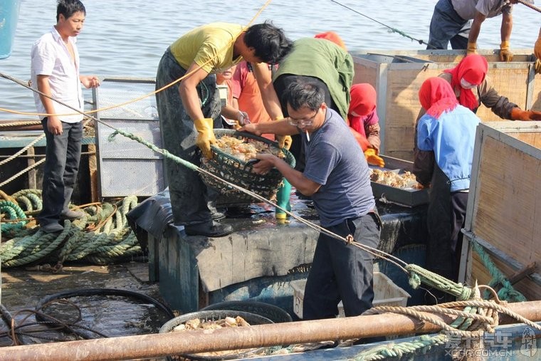 寿光羊口海鲜_羊口港_海鲜火锅(2)