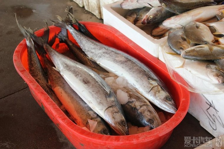 寿光羊口海鲜_羊口港_海鲜火锅(3)