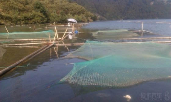 石塘水库钓翘嘴