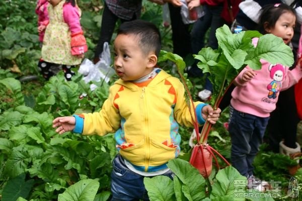 幼儿园集体活动:烧烤、拔萝卜、爬山_四川汽车