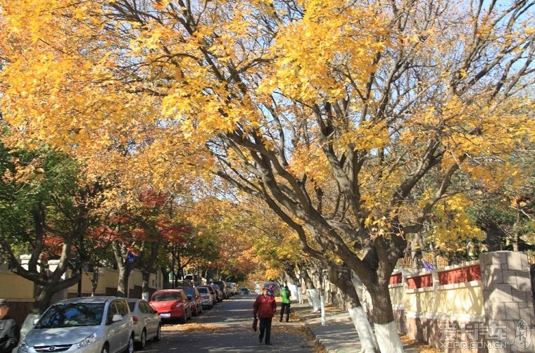 青岛八大关风景区