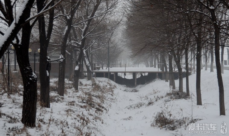 发几张北京的雪景图片。 - 霸锐论坛 - 起亚论坛