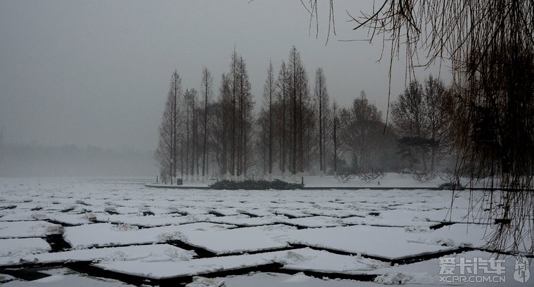 发几张北京的雪景图片。 - 霸锐论坛 - 起亚论坛