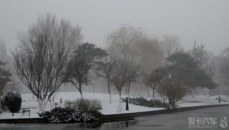 发几张北京的雪景图片。 - 霸锐论坛 - 起亚论坛