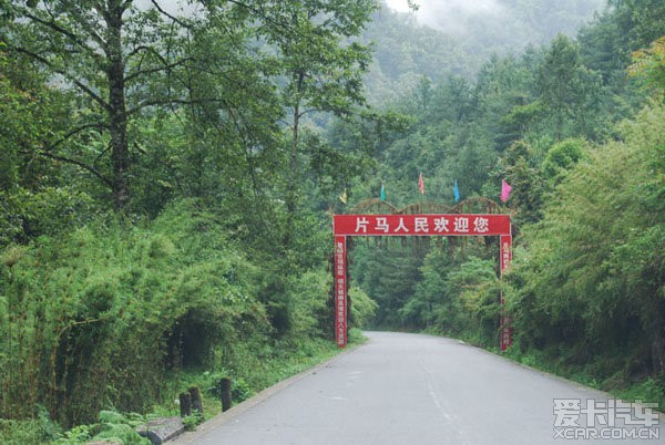 过了 3200米风雪丫口,一路下山,片马镇的海拔高度是1900米.(图10)