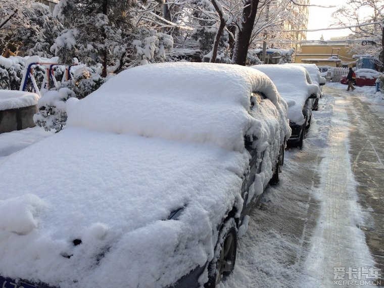 春分 春雪 晨起美景 北京一夜大雪 满树雪挂 - 图