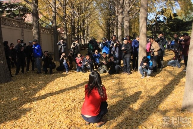 再漂亮的大姑娘,这一屁股蹲下去,啥都没有了-爱卡汽车网论坛