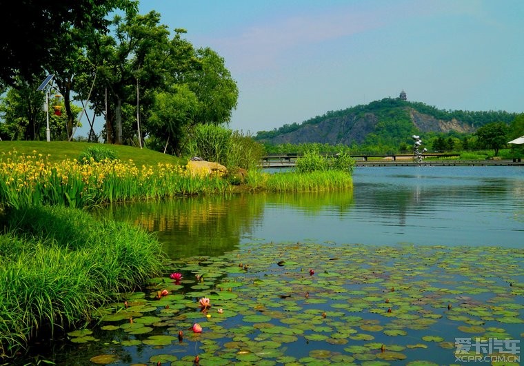 《 上海辰山植物园,一个人造的绿色世界 》 - 江