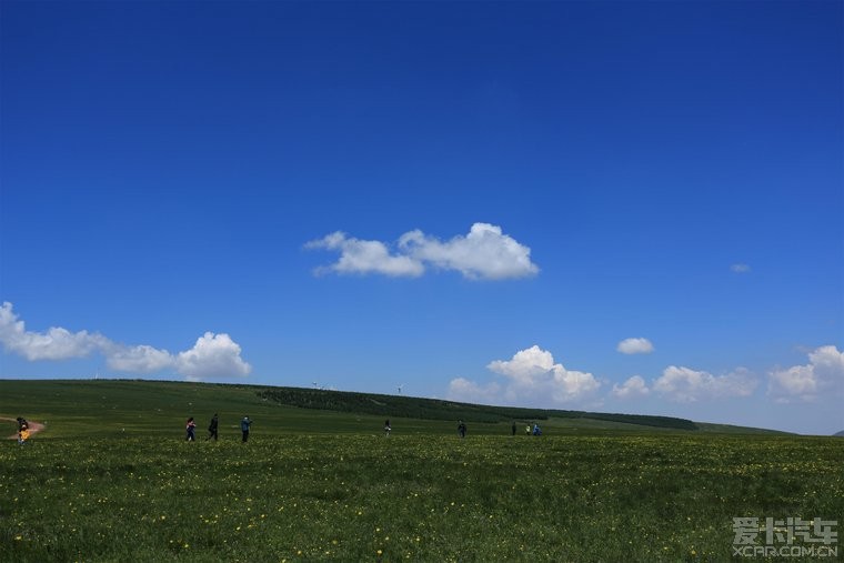 端午节张家口蔚县空中草原一日游