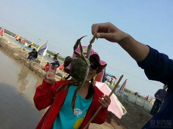宁河七里海钓螃蟹作业