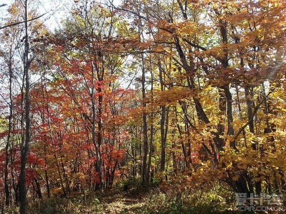 【精华】2013沈阳周边自驾沈阳至新宾岗山旅