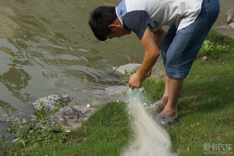 宁波发大水鱼自己跑上来也就算了,这二个YP二