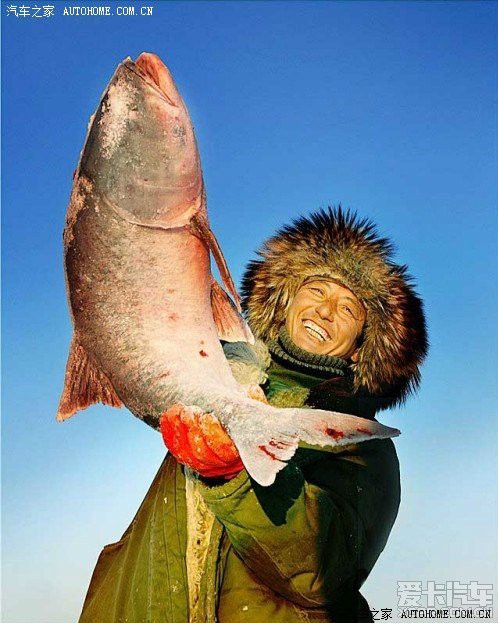 吉林查干湖冬捕头鱼28万 鱼把头座驾是驭胜 zt