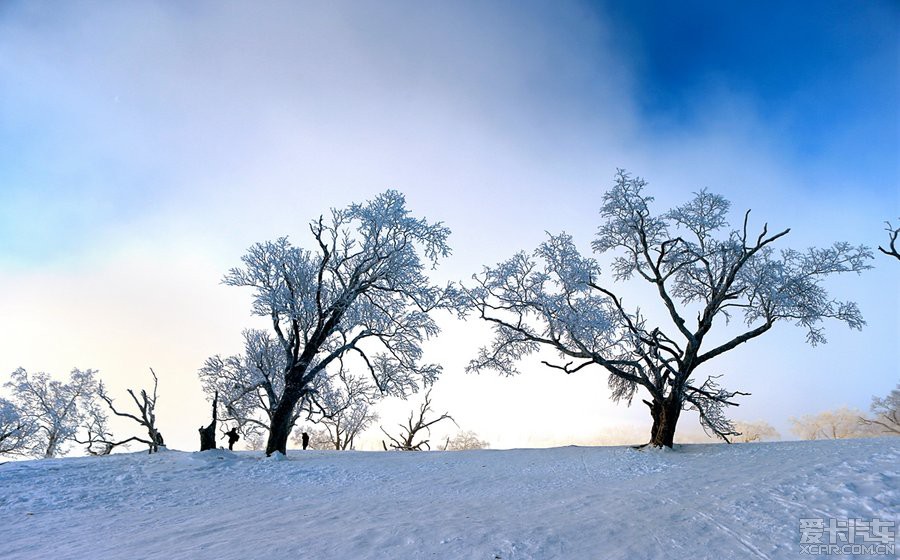 圣诞节老杨去哈尔滨大秃顶山和吉林雾凇岛拍雪