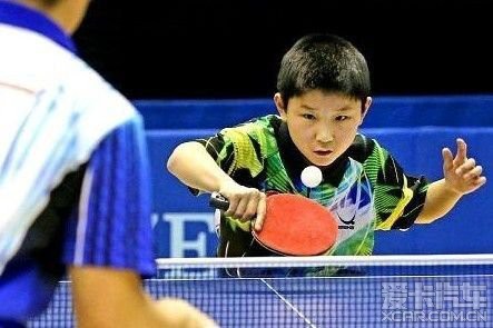 中国乒乓神童张智和 已申请日本国籍战奥运