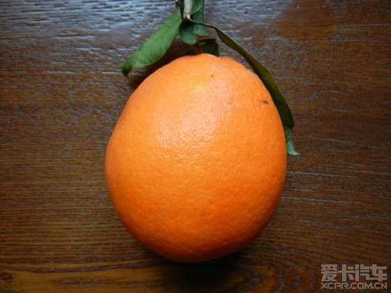 最近大家都在谈论雷波脐橙,我也来谈谈雷波脐
