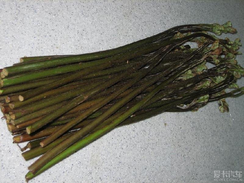 蕨菜蕨根粉含致癌物应少吃 蒸煮水浸可减少致